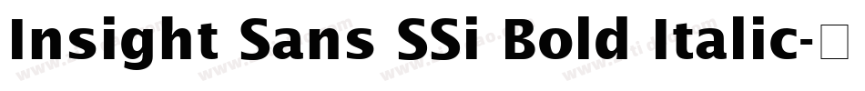 Insight Sans SSi Bold Italic字体转换